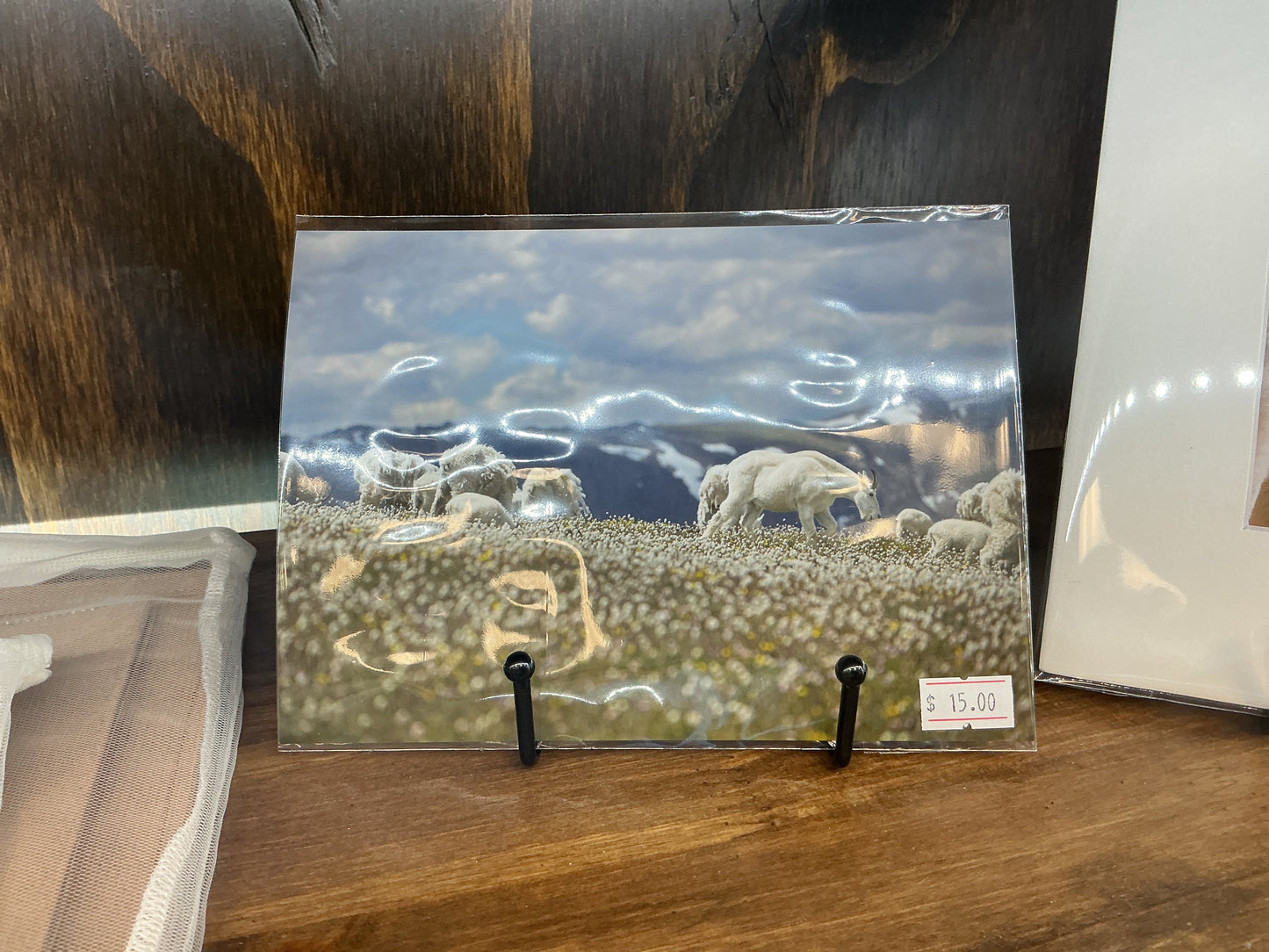 Goat Herd Unmatted
