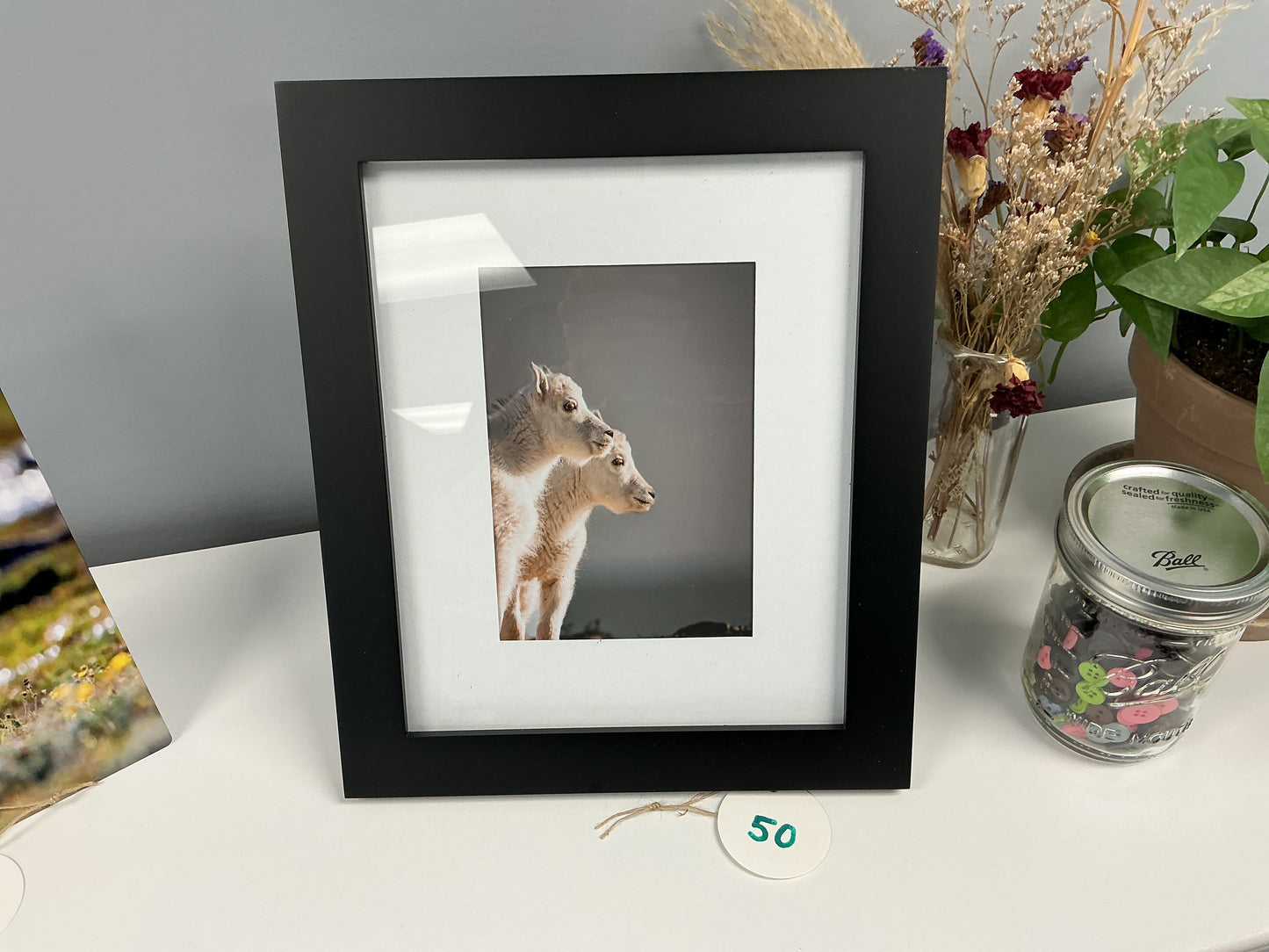 2 Goats “Fluffy Pals” Framed