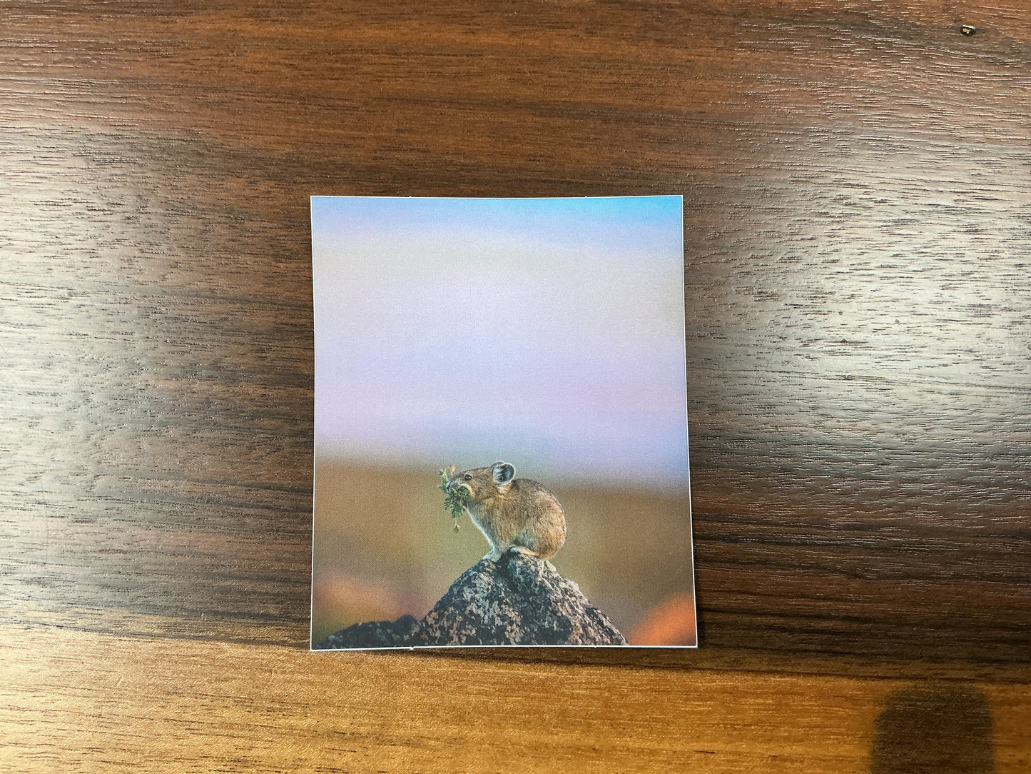 Field Mouse Sticker
