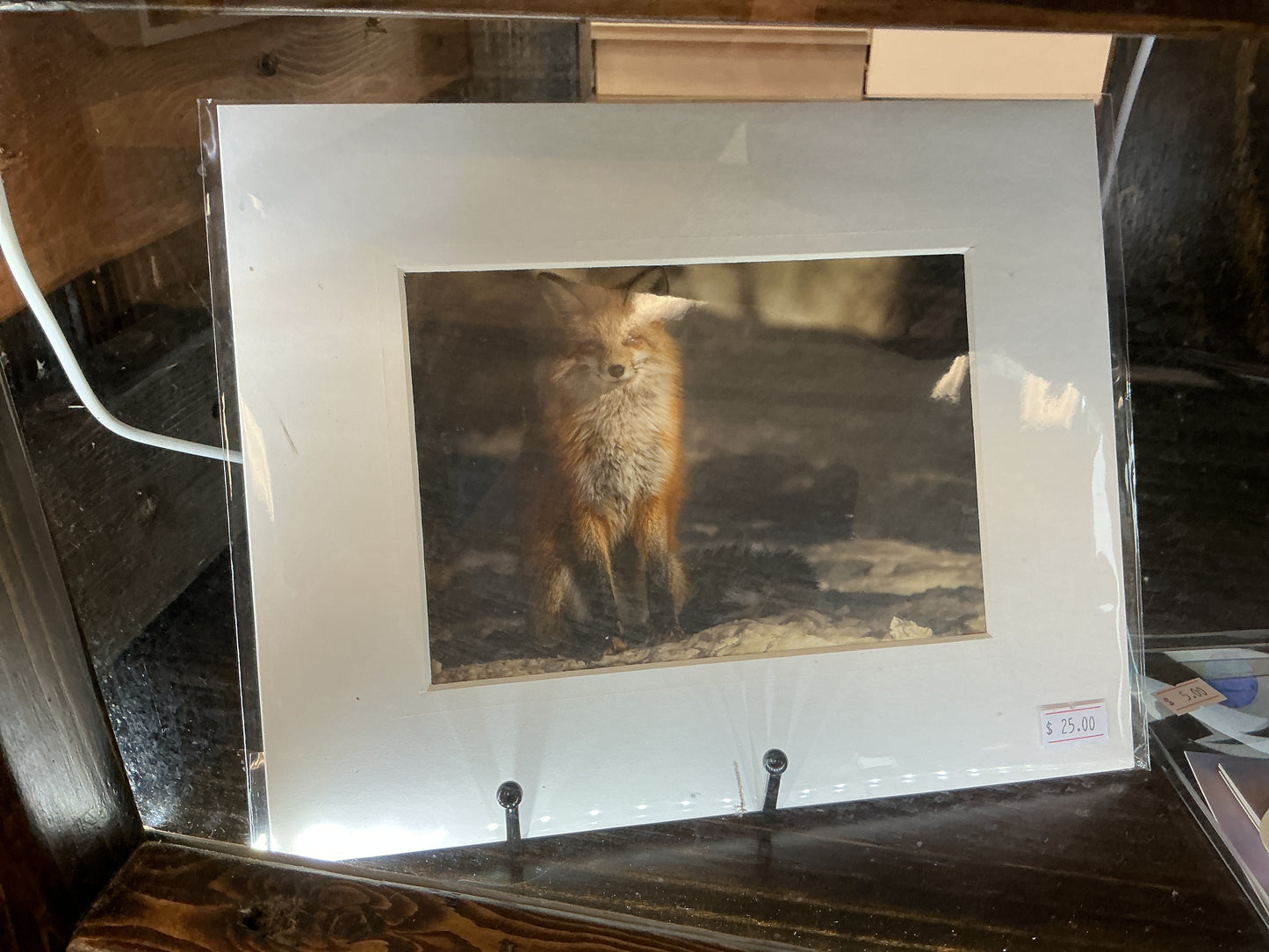 Fox Picture Matted