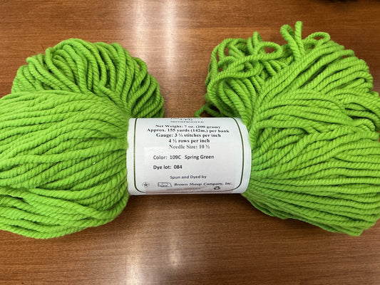 Nature Spun Chunky 109C Spring Green